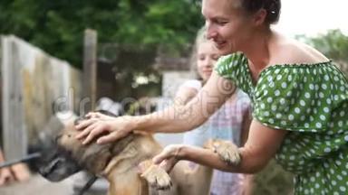 带着皮带的乡村狗和他的情妇。 年轻女子抚摸着一只保护动物权利的杂种